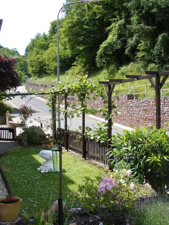 Ferienwohnung Ziemons Cochem Værelse billede