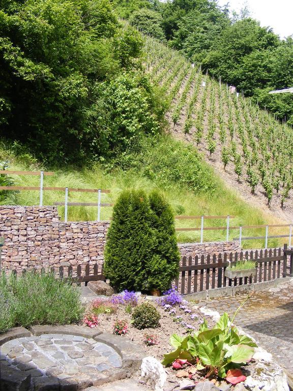 Ferienwohnung Ziemons Cochem Værelse billede